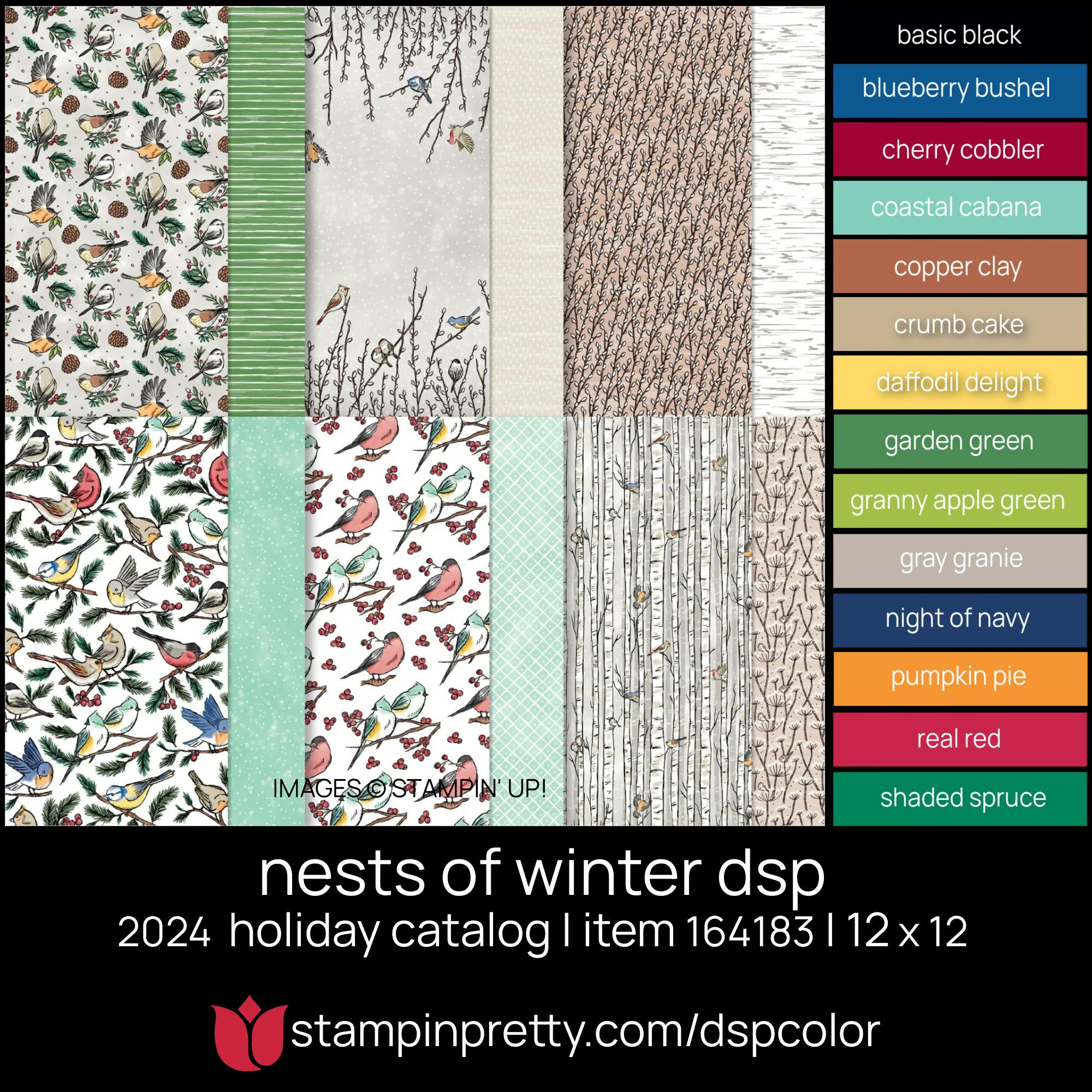 Nest of Winter Designer Series Paper and all the Coordinating Colors! 