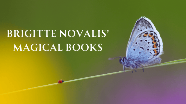 butterfly and ladybug