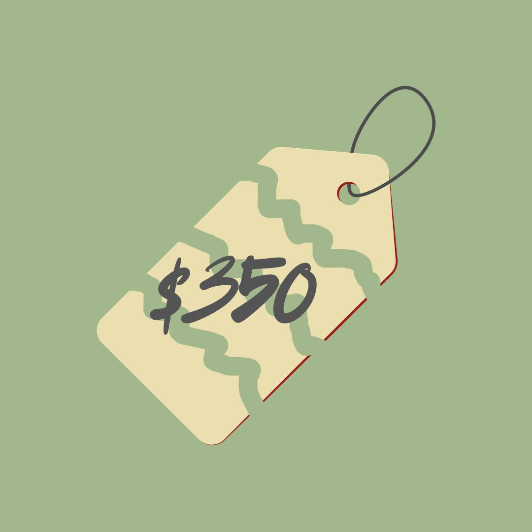 Yellow price tag divided into four pieces with the numbers $350 on the tag. Sage green background. 