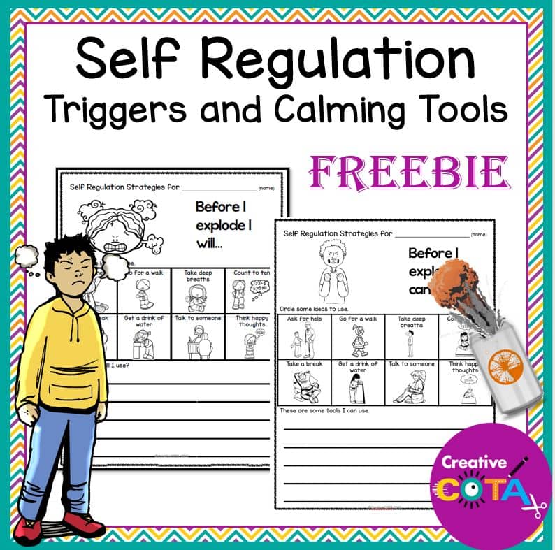 Social Emotional Learning Triggers and Calming Strategies Freebie