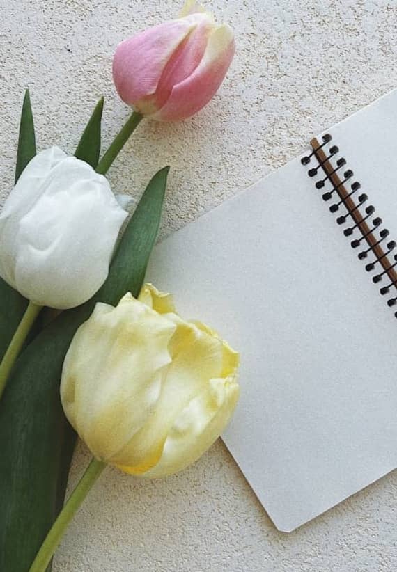 a notepad with a notepad and two tulips