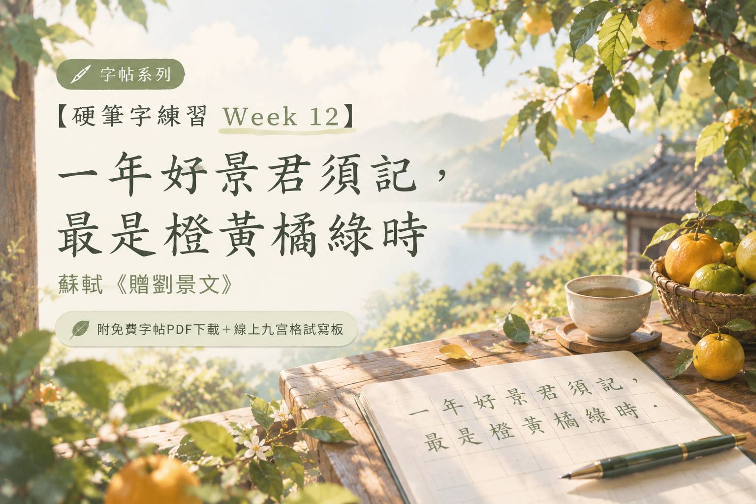 ?????? Week 12?????????????????????????