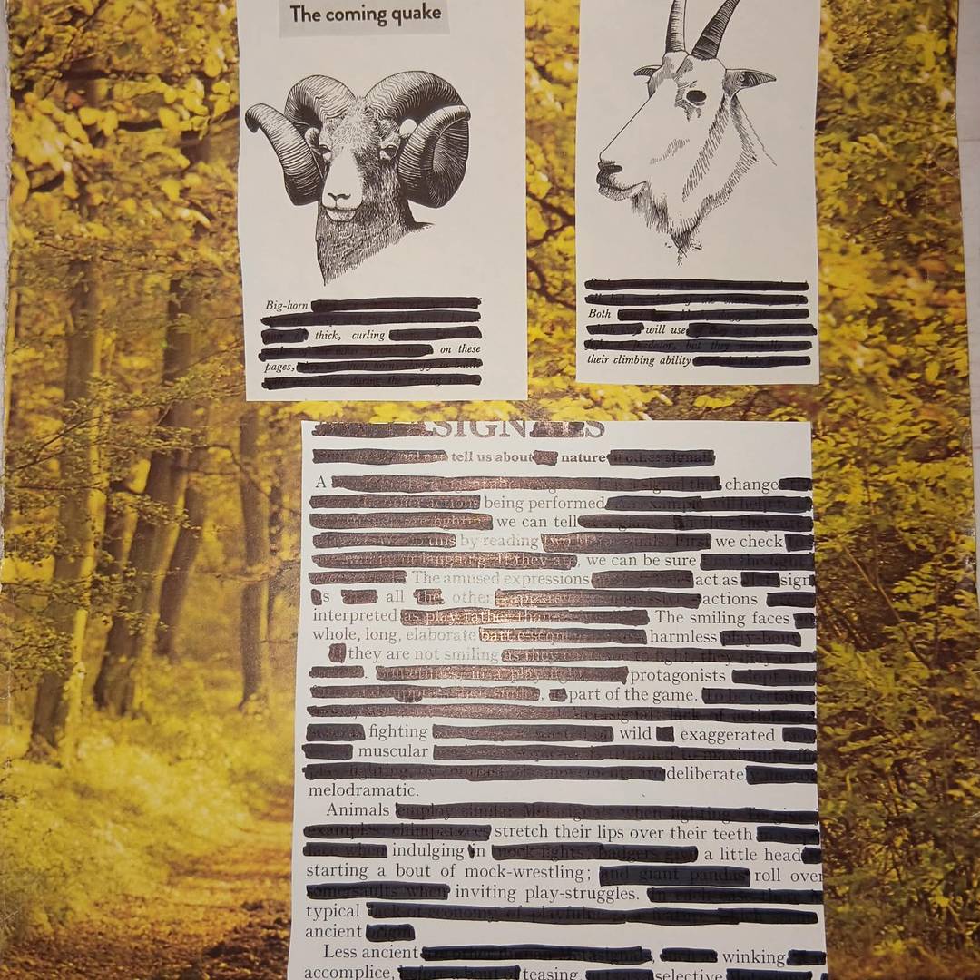 Background is a yellowy autumn scene.  This is a blackout poem, composed by eliminating words with black pen.  Title: The Coming Quake   Two different types of illustrated goat stare out at the viewer. Under the first, the caption: Big-horn, thick, curling on these pages. Under the second: Both will use their climbing ability.  The poem itself: SIGNS tell us about nature A change being performed we can tell by reading we check we can be sure The amused expressions act as signs all other actions interpreted The smiling faces whole, long, elaborate, harmless  they are not smiling. protagonists, part of the game. fighting, wild, exaggerated, muscular, deliberate, melodramatic.  Animals stretch their lips over their teeth indulging in a little head starting a bout of mock-wrestling; inviting play-struggles. typical, ancient  Less ancient, winking accomplice, teasing, selective accomplice, not victim. the meaning of all which follow will be quite involved.