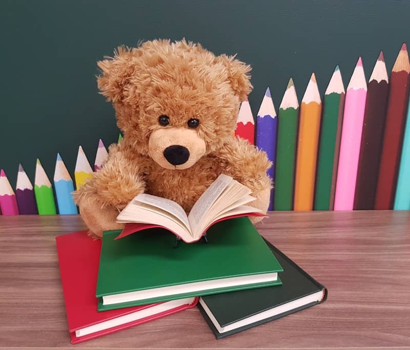 Teddy bear reading books with colorful pencils in the background.