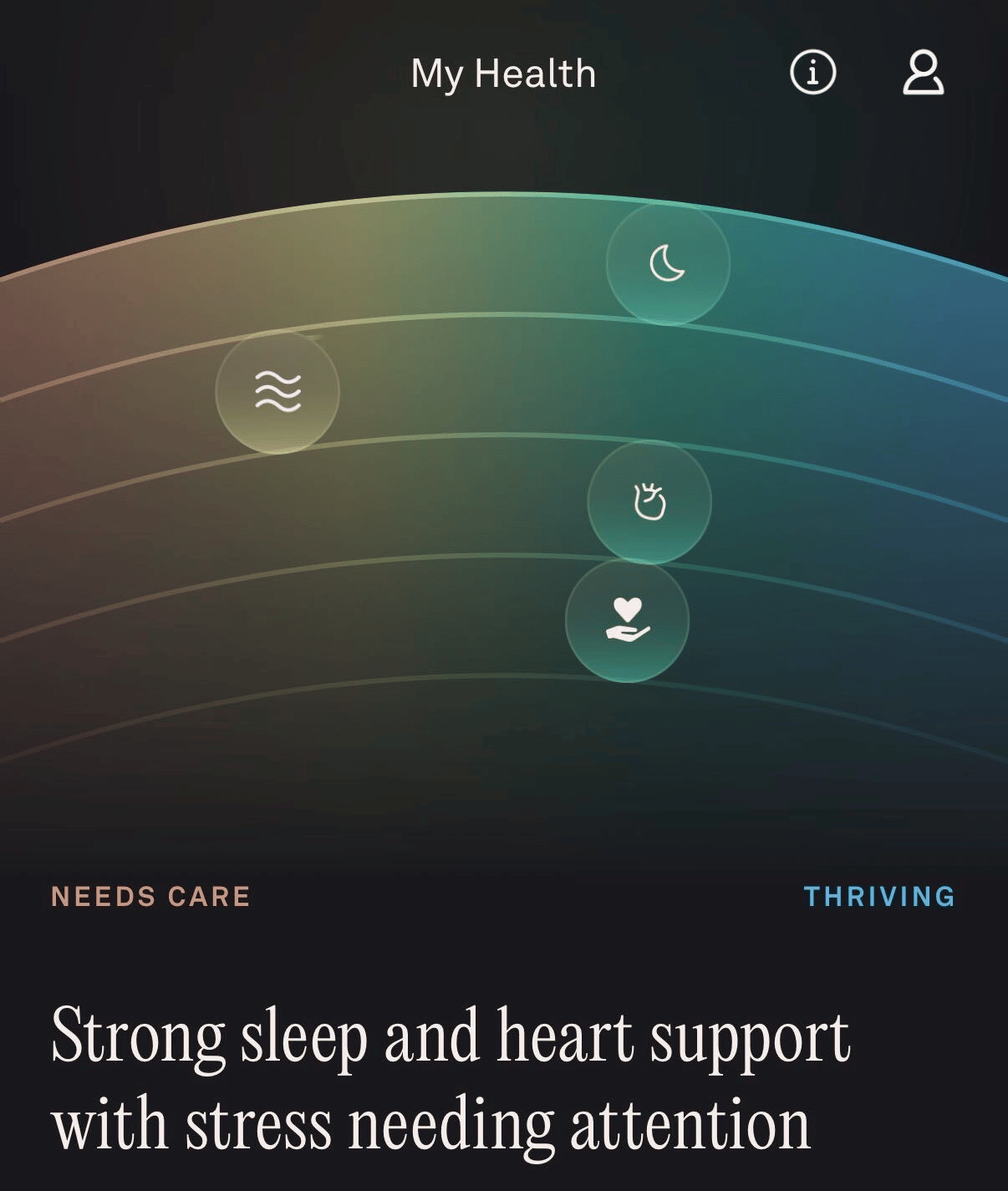 Oura ring dashboard