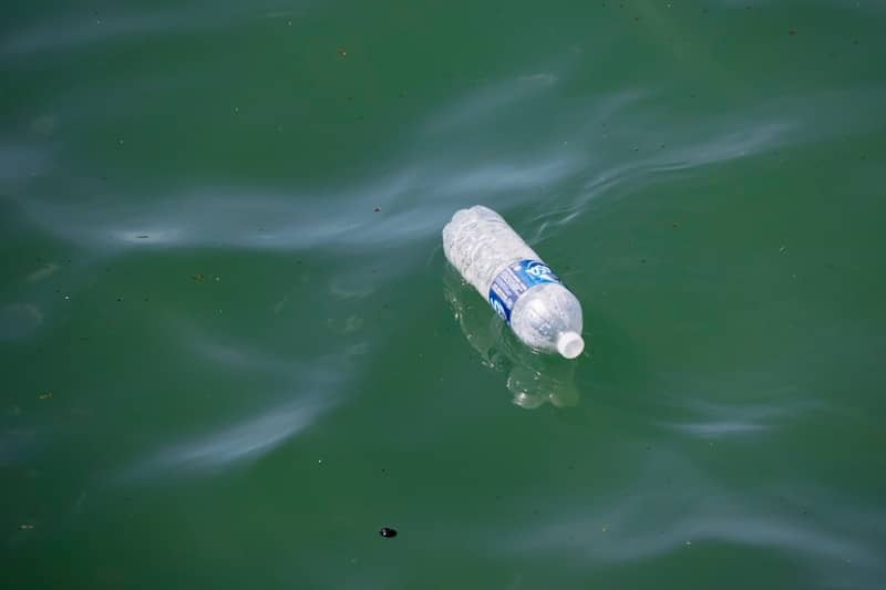 Plastic bottle floating on green water surface