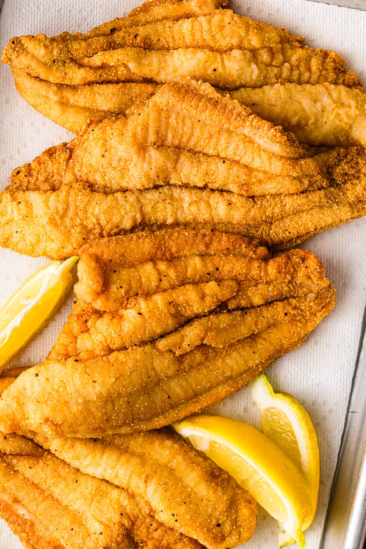 Southern Fried Catfish