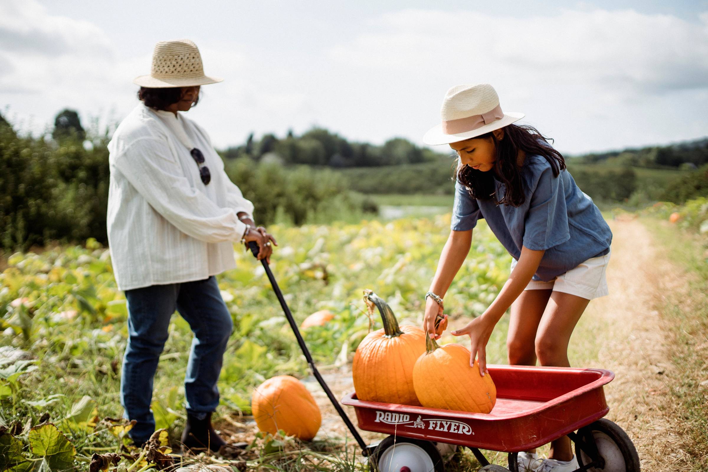 Orchards, Overlooks & Overtime: My Fall Favorites