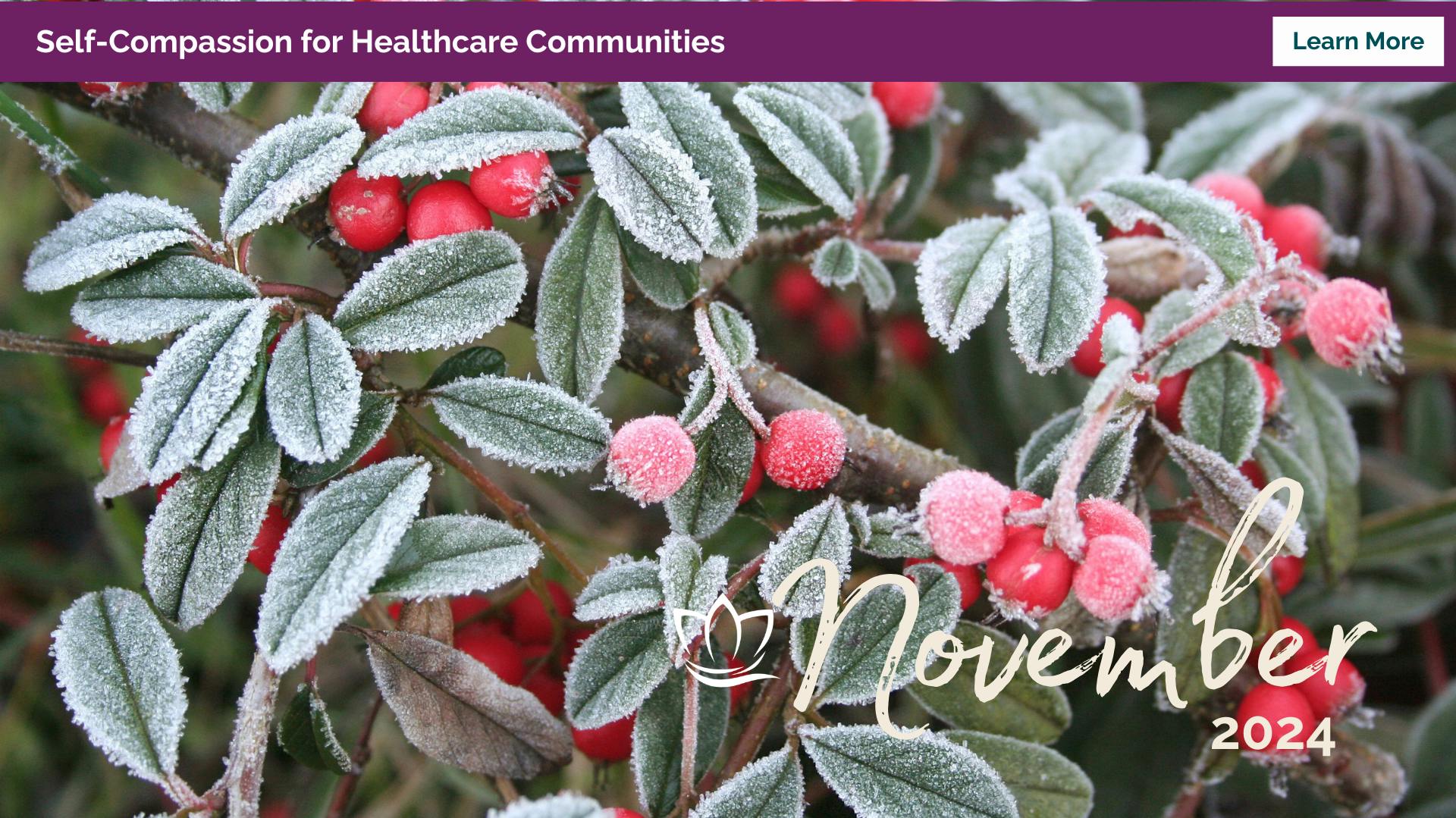 Frosted berry plant with the title "November 2024"