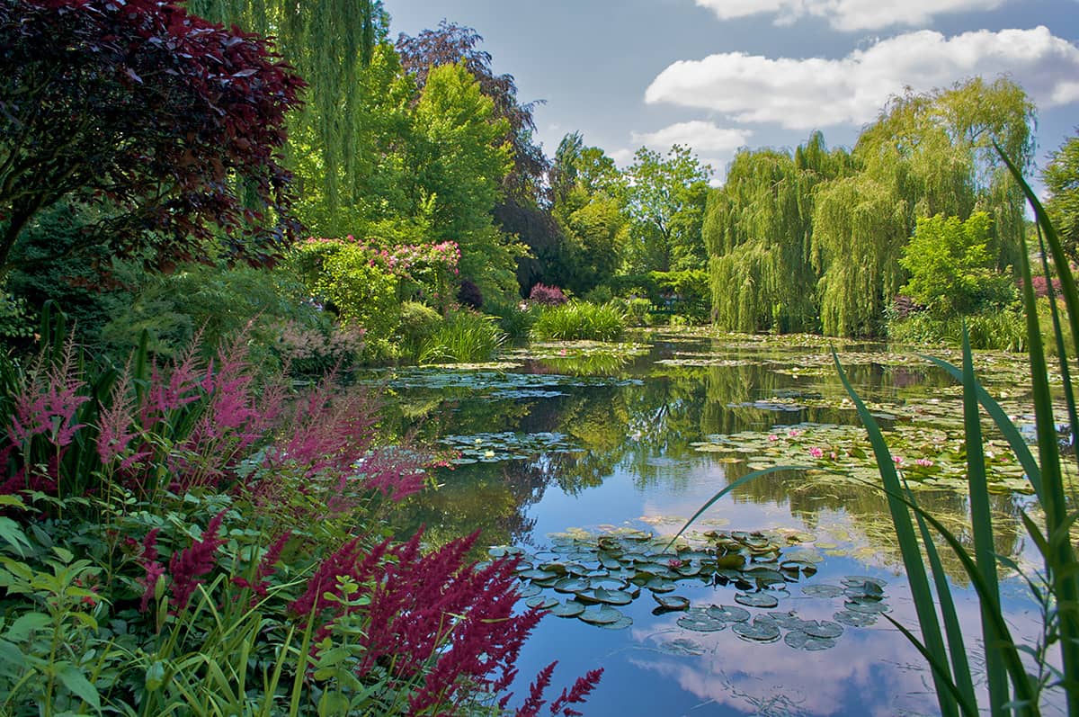 monet croûtes jardin