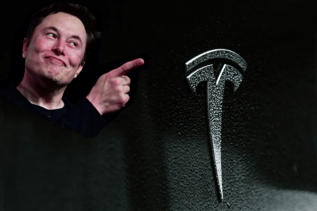 Musk and Tesla logo, best stocks to buy, learn a trade