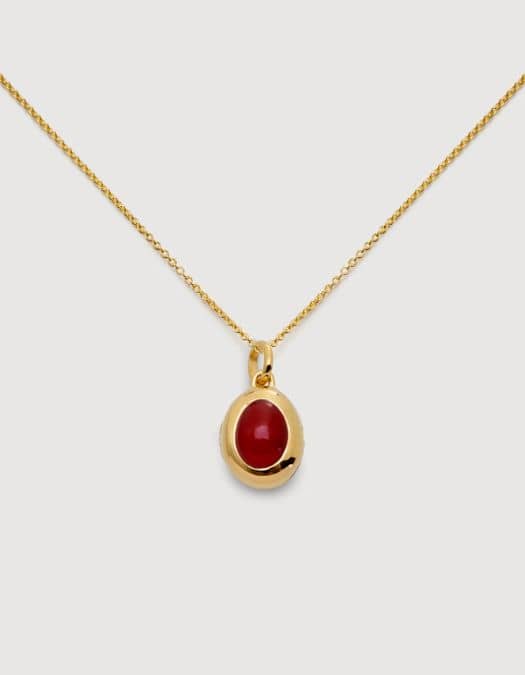 January Birthstone Locket Necklace