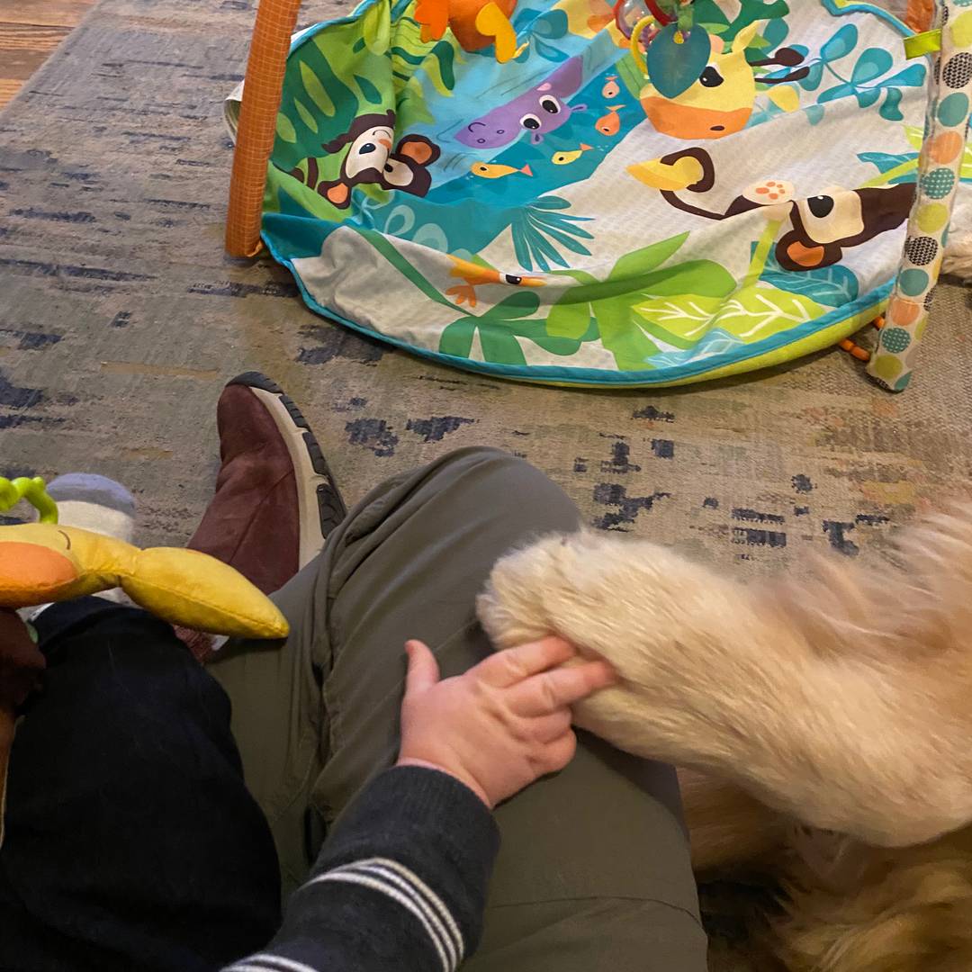 One of Sammy's favorite little people's hand on Monty's paw. 