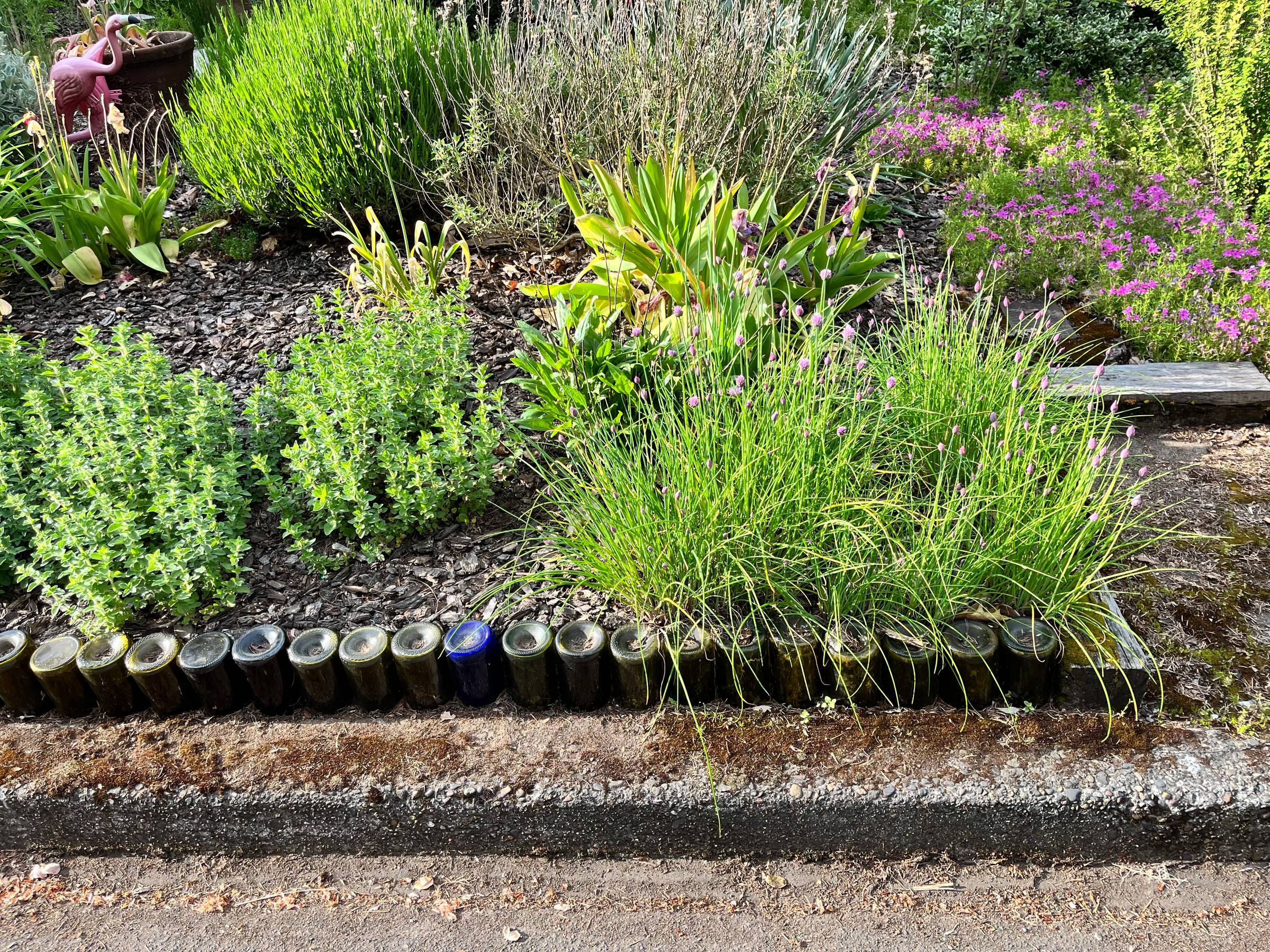A photo of the place where my garden meets the street. There is a row of wine bottles turned upside down and buried in the dirt, creating a little wall between the garden and the curb.