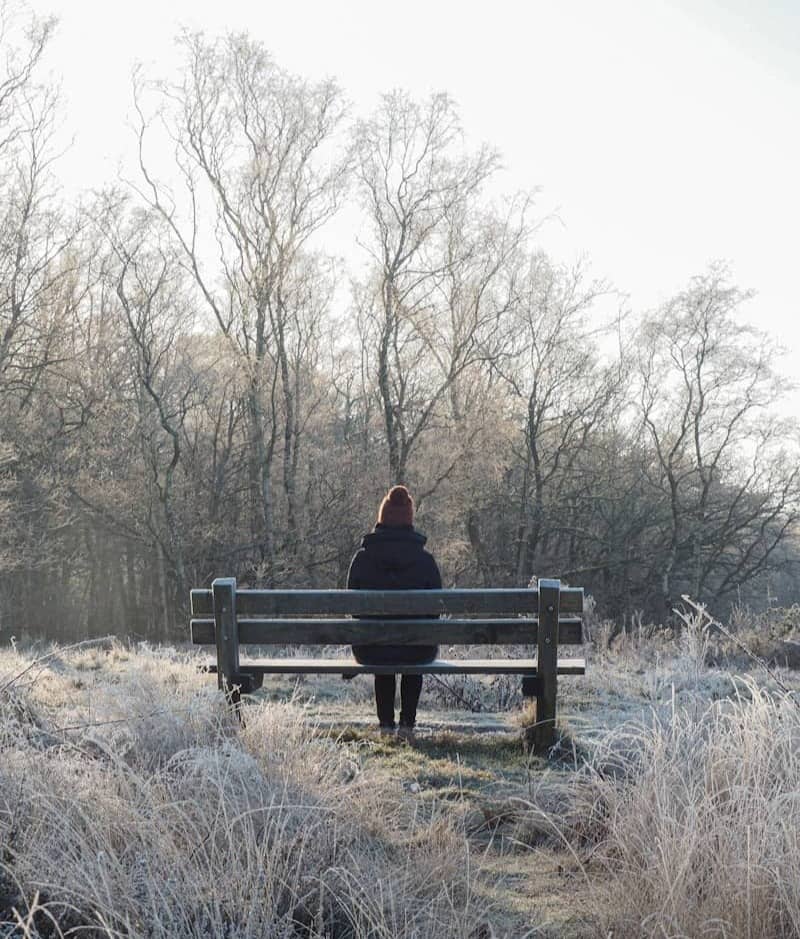 A person sitting on a bench in a field