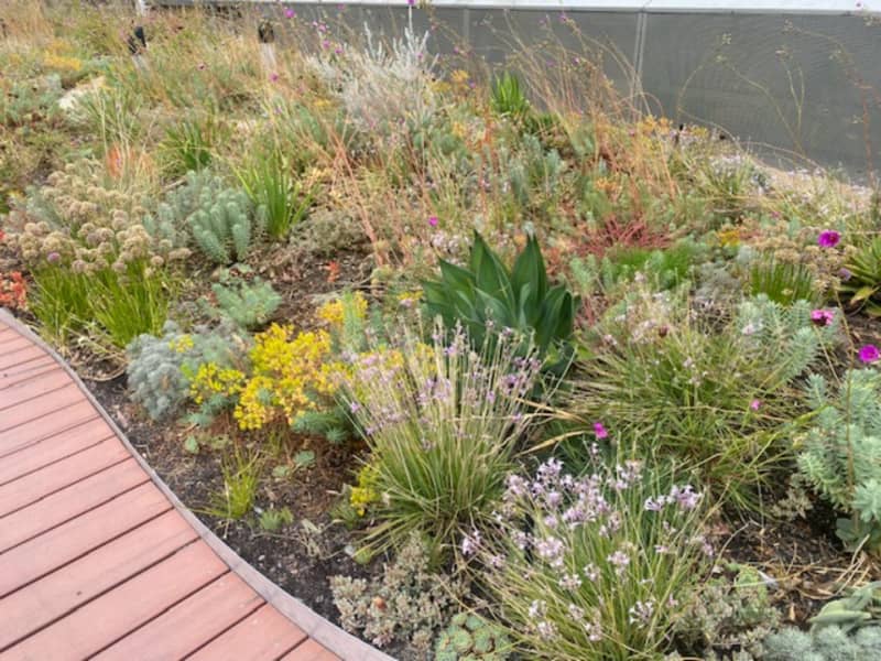 Melbourne Secret Garden