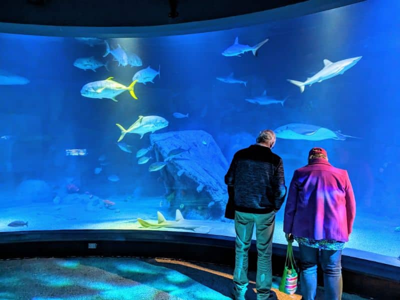 Melb aquarium