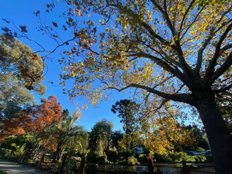 Autumn in Melbourne
