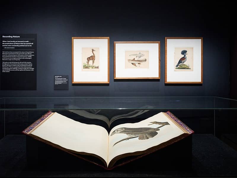 World of the Book
