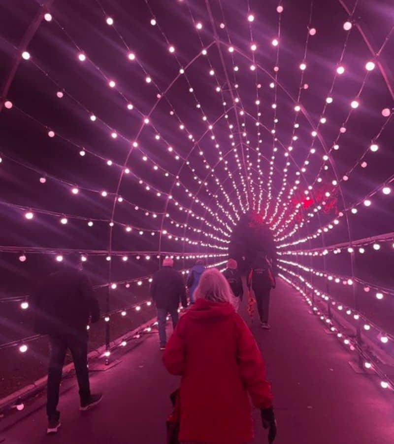 Lightscape tunnel