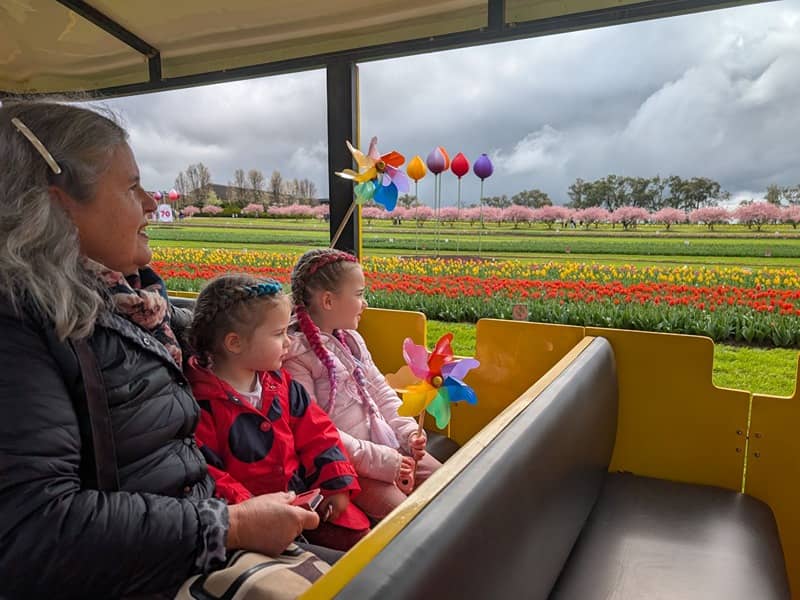Tulip Festival