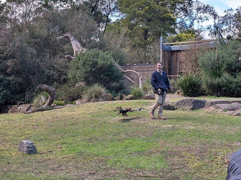 Healesville Sanctuary