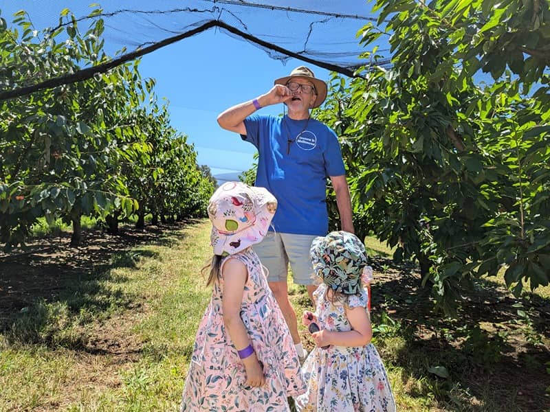 Cherry Picking
