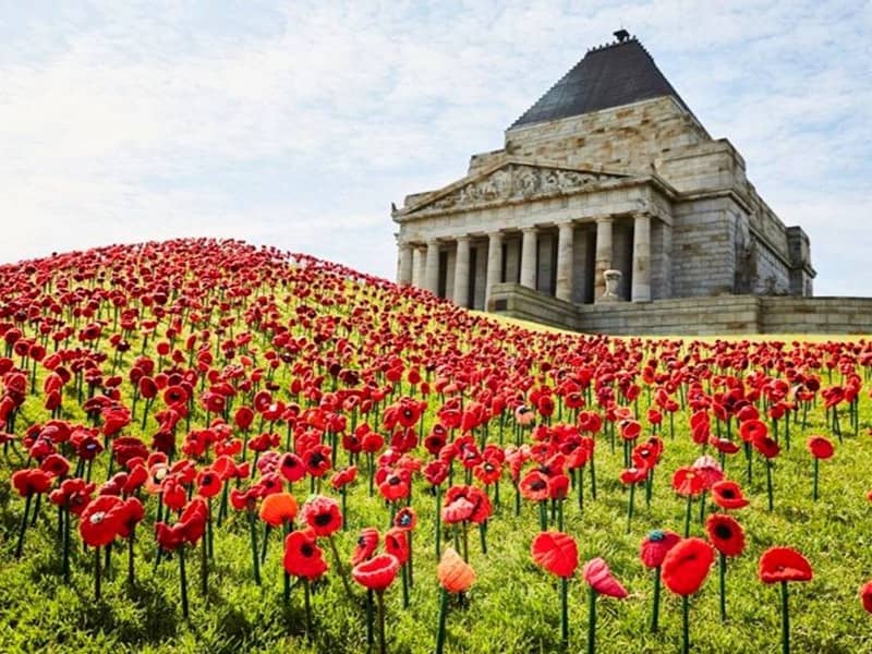 Remembrance Day