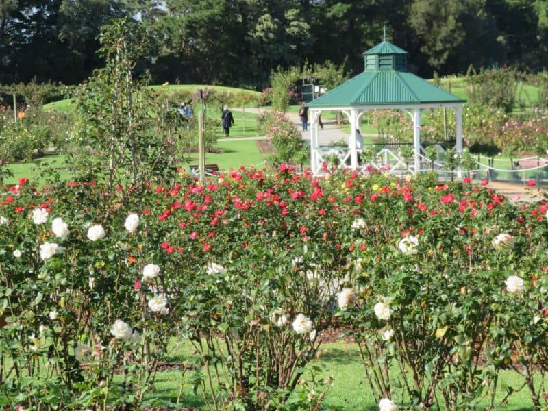 State Rose Garden