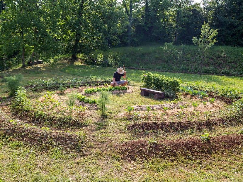 Backyard Permaculture Online Course