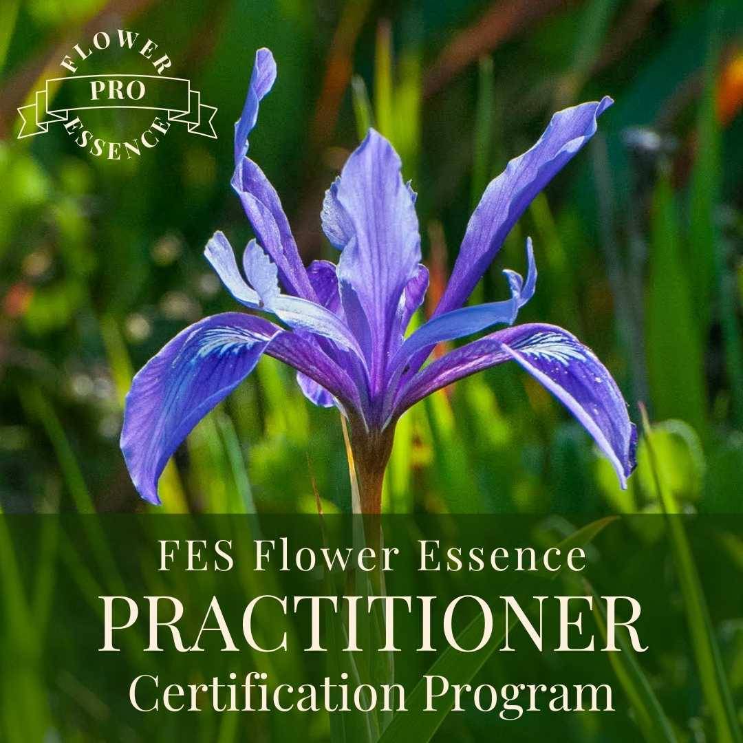 FES Flower Essence Practitioner Training