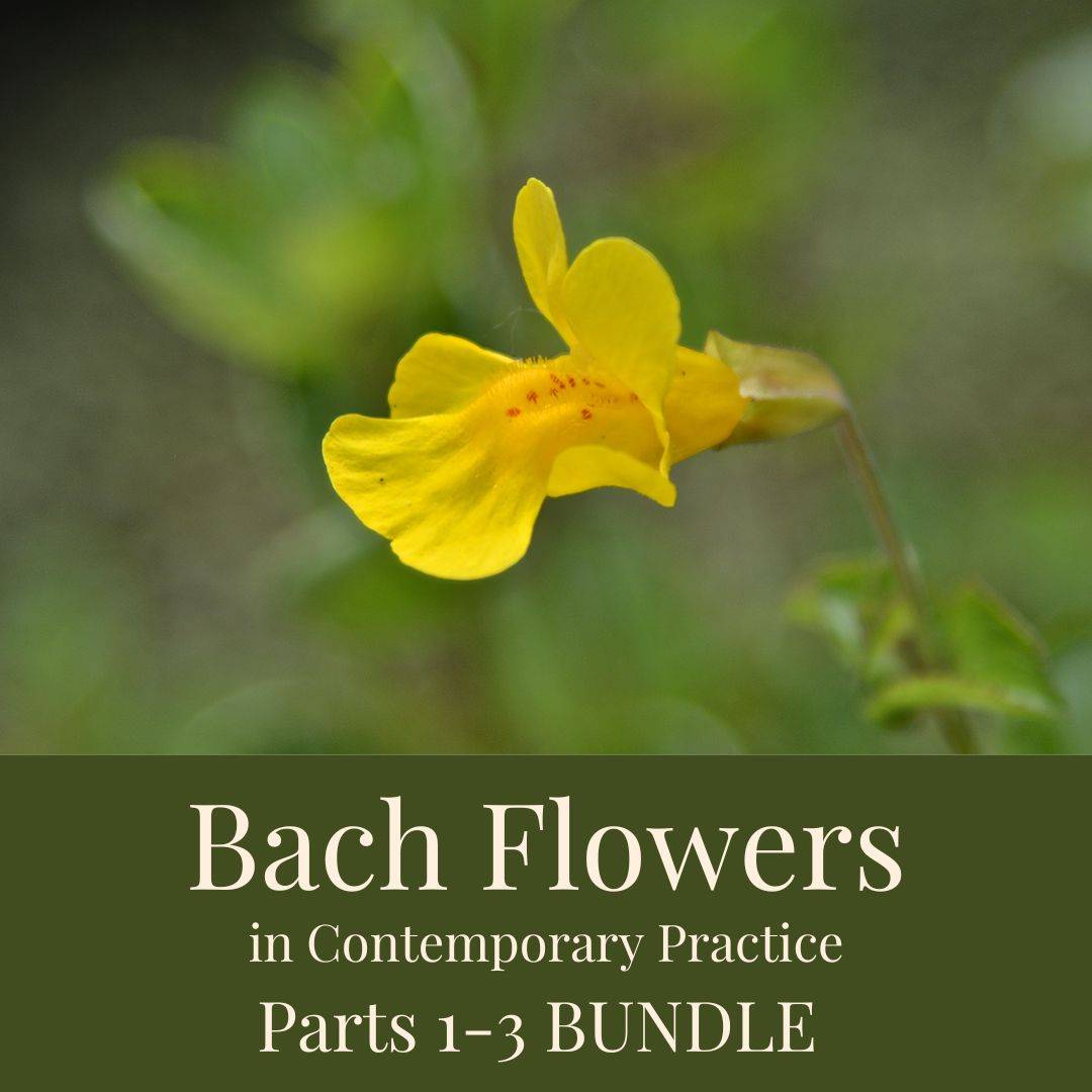 Bach Contemporary Bundle