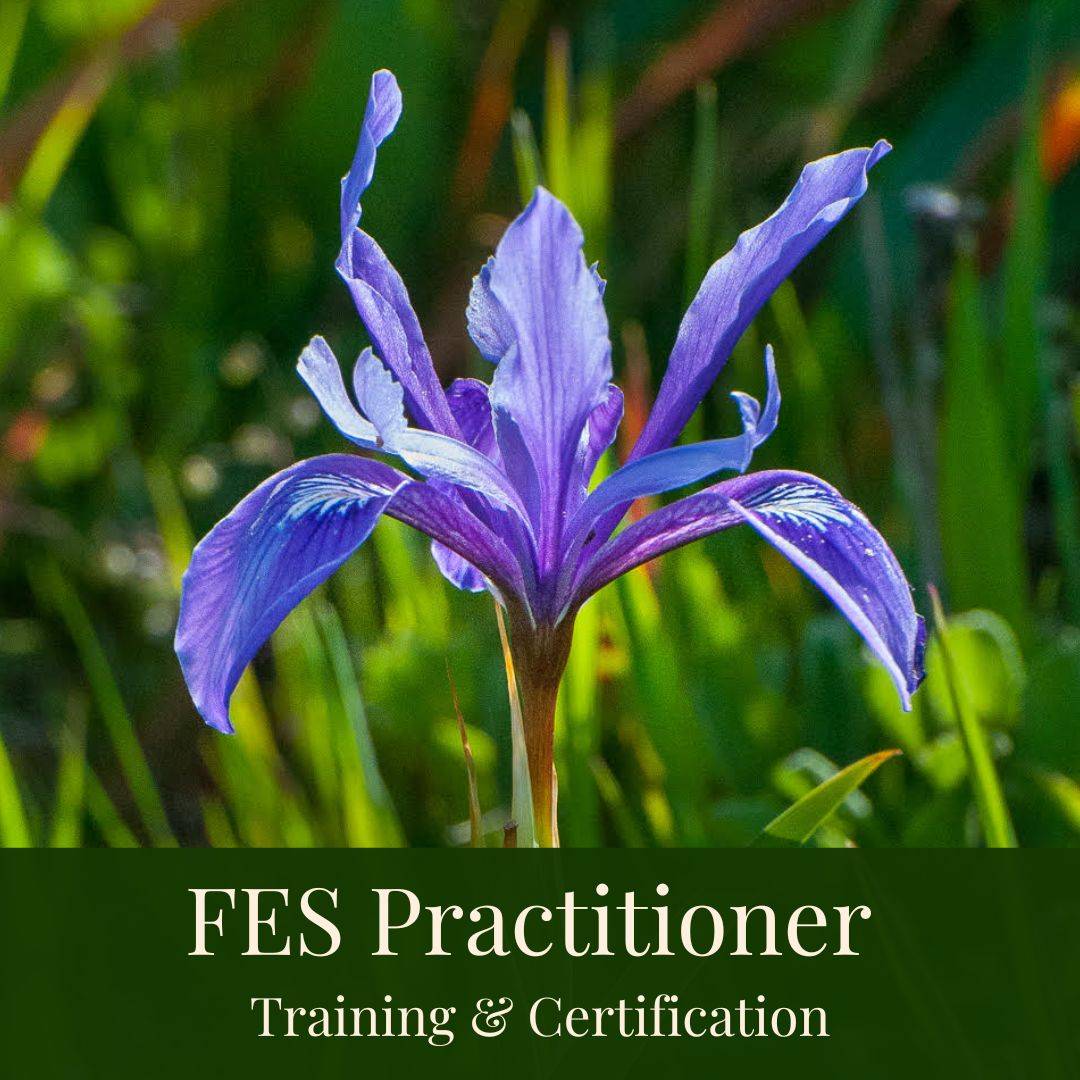 iris flower for the practitioner training