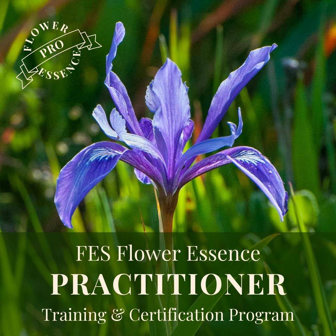 iris flower for the practitioner training