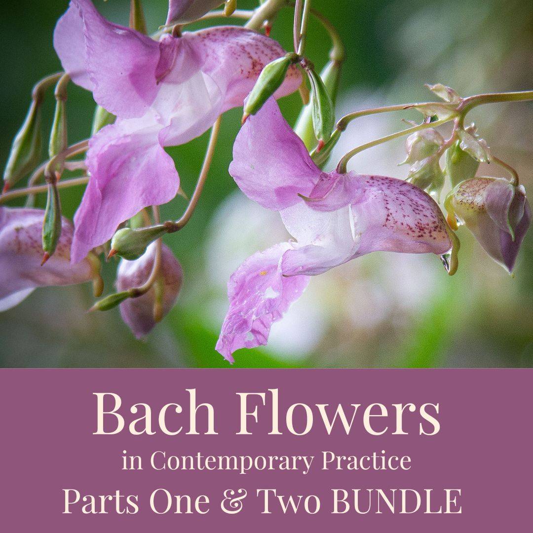 Save 50% on the Bach Flowers in Contemporary Practice Bundle