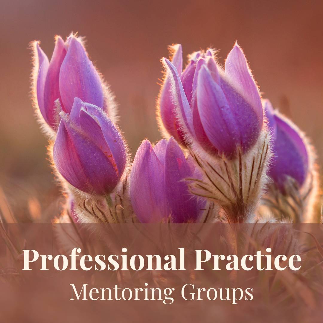 professional practice mentoring groups for flower essence practitioners