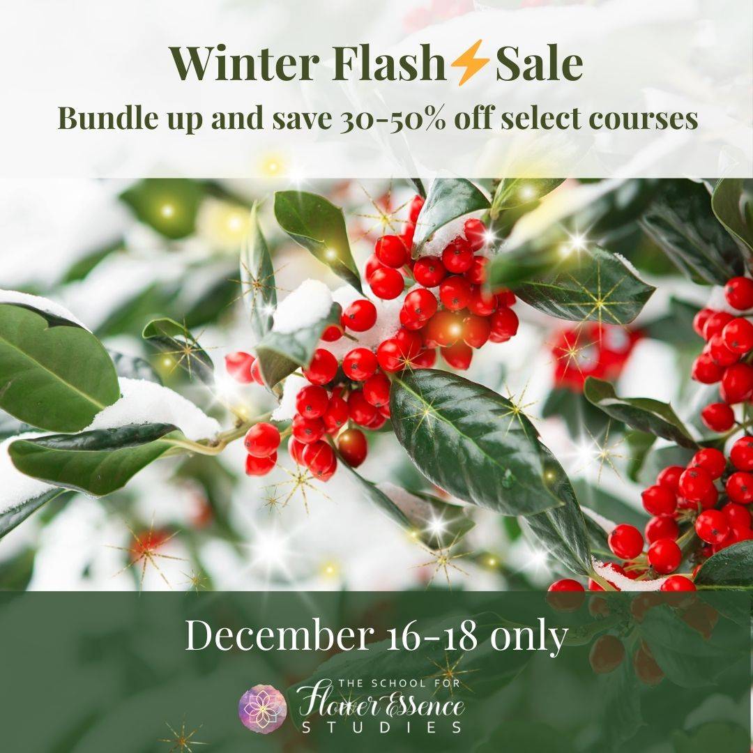 winter flash sale with holly berries and snow