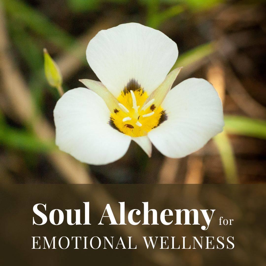 mariposa lily with text: Soul Alchemy for Emotional Wellness