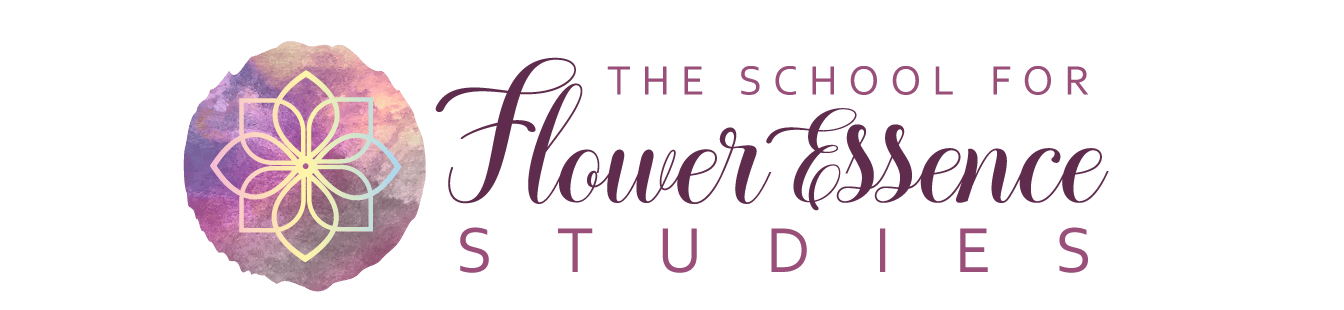 The School for Flower Essence Studies