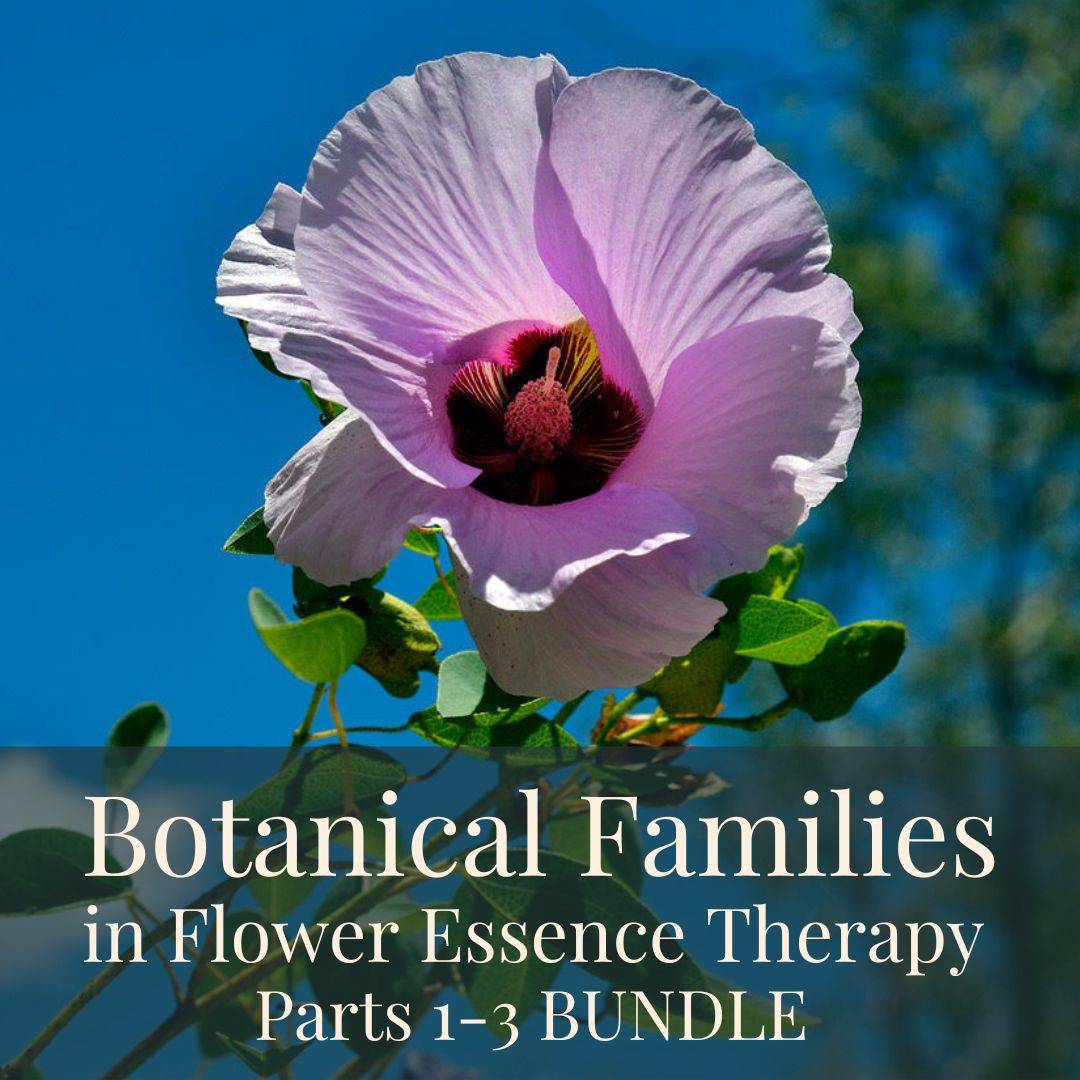 Botanical Families Bundle