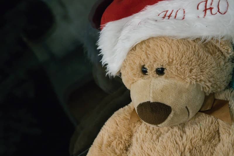 A teddy bear wearing a santa hat