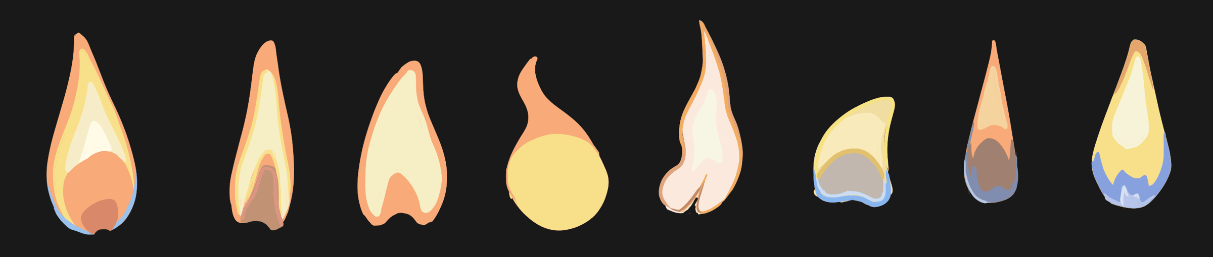 Candleflame studies