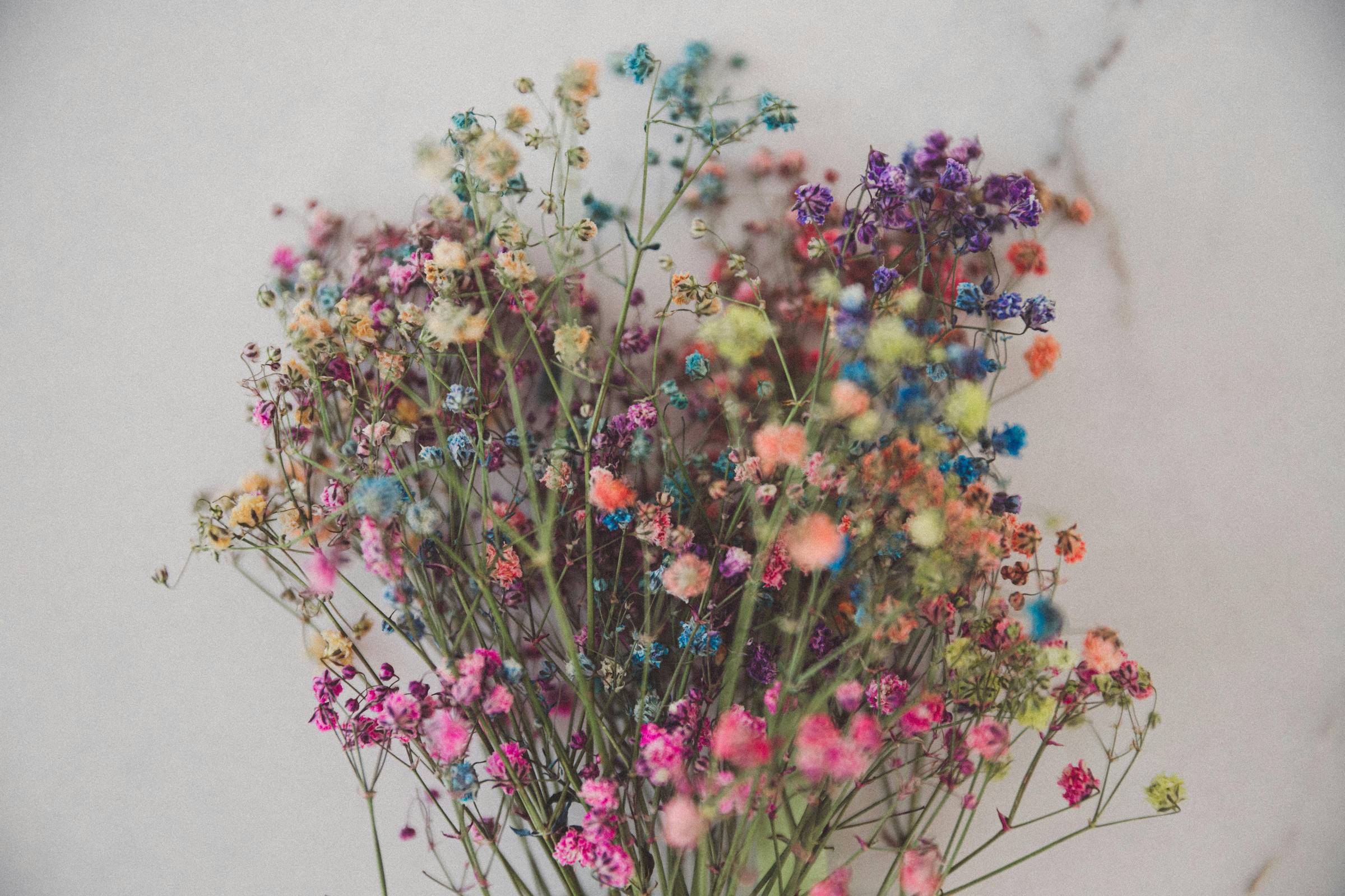 unicorn baby's breath flowers, rainbow-colored