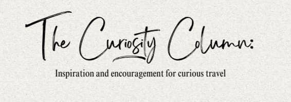 [Newsletter Title Header] The Curiosity Column: Inspiration to help you flex your curiosity muscles!