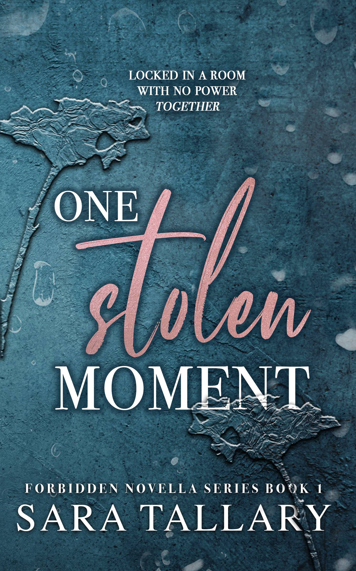 cover of One Stolen Moment (Forbidden Novella Series Book 1) by Sara Tallary