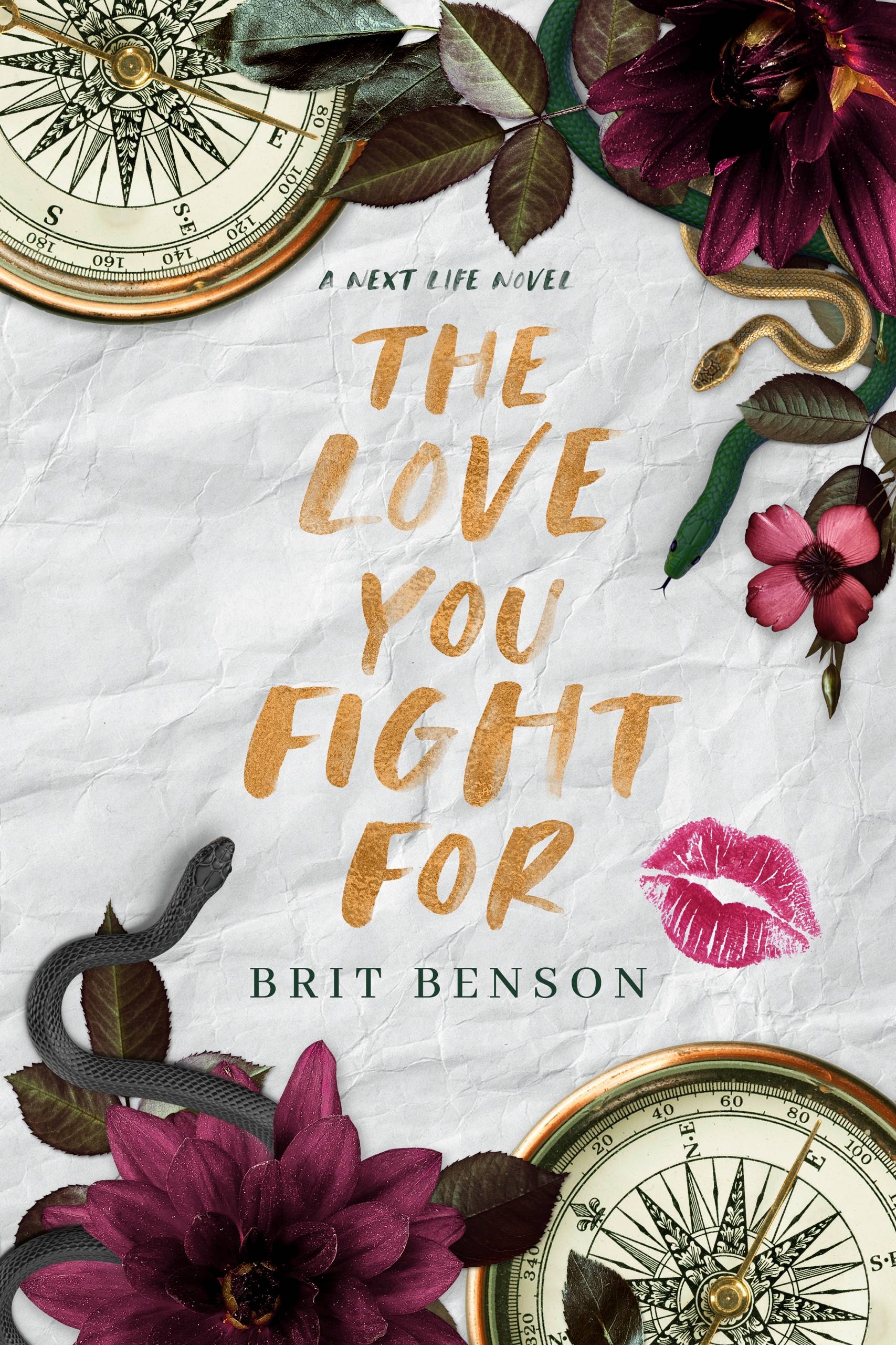 cover of The Love You Fight For by Brit Benson (a Next Life Novel)