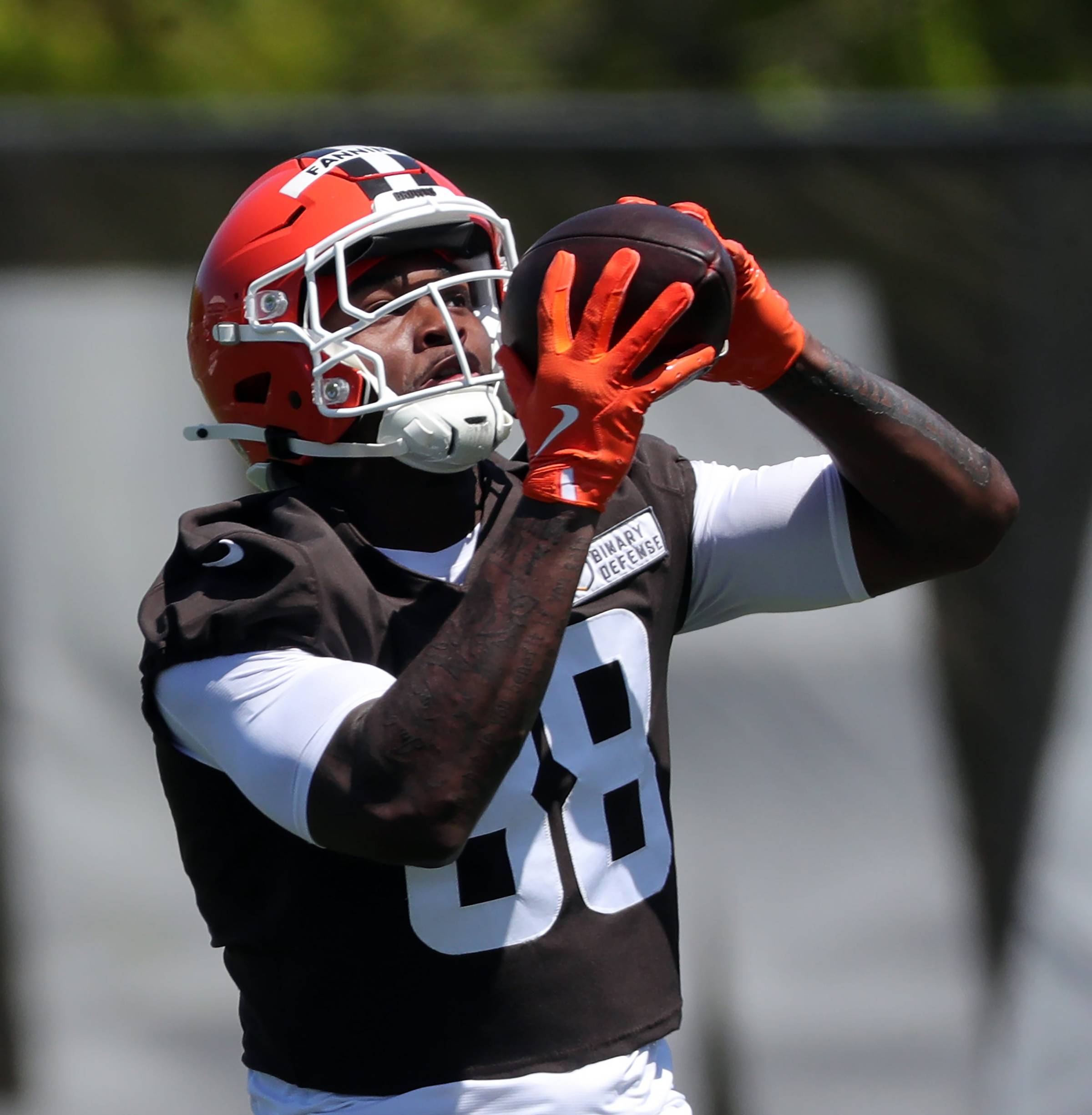 © Jeff Lange / USA TODAY NETWORK via Imagn Images - Harold Fannin Jr.