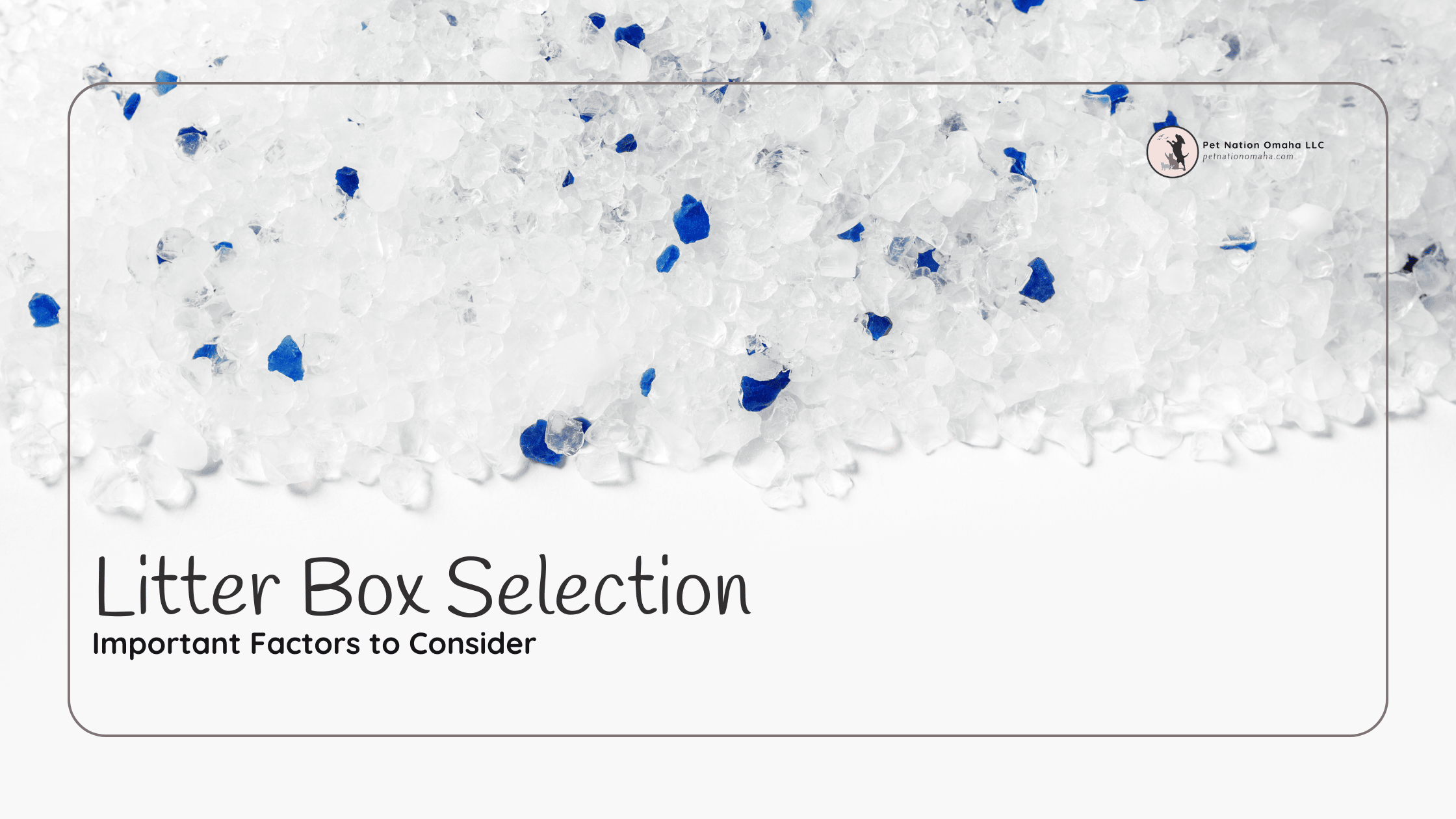 4 Key Factors to Consider When Choosing the Right Litter Box for Your Cat