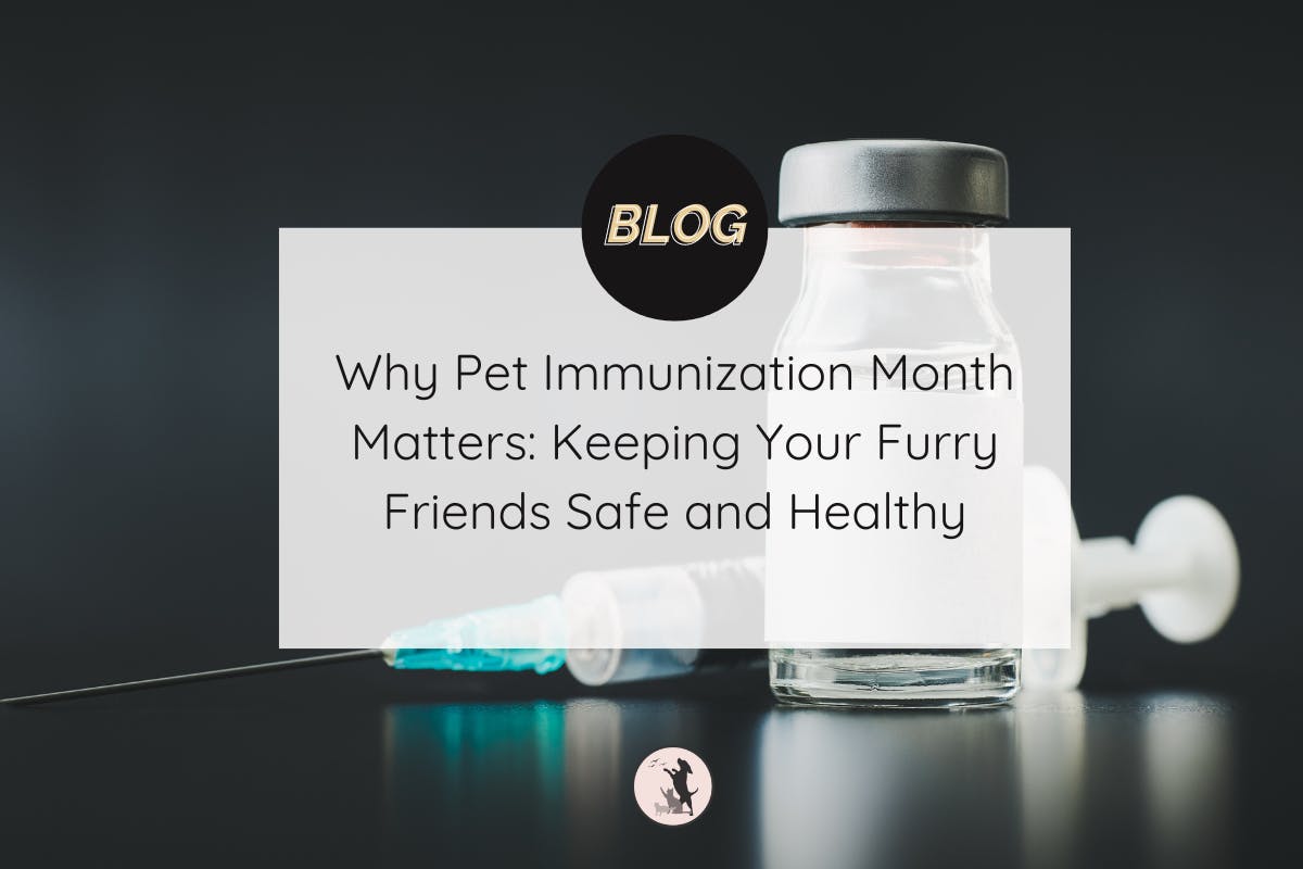 bottle of pills and medicine behind a translucent text box saying why pet immunization month matters