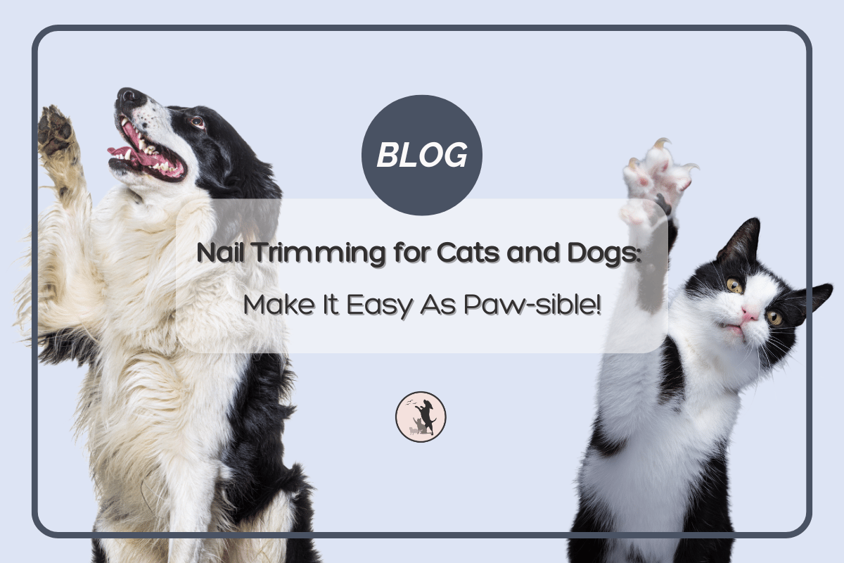 Nail Trimming for Cats and Dogs: Make It Easy As Paw-sible blog